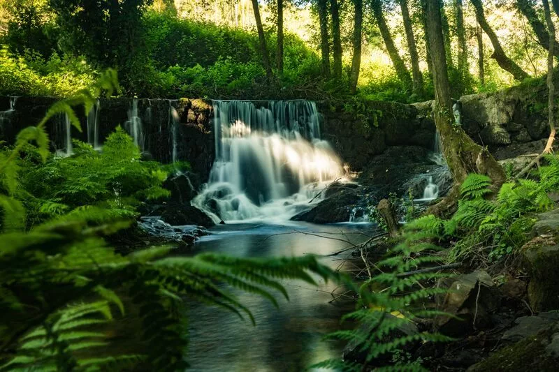 Могут ли начаться войны за воду?