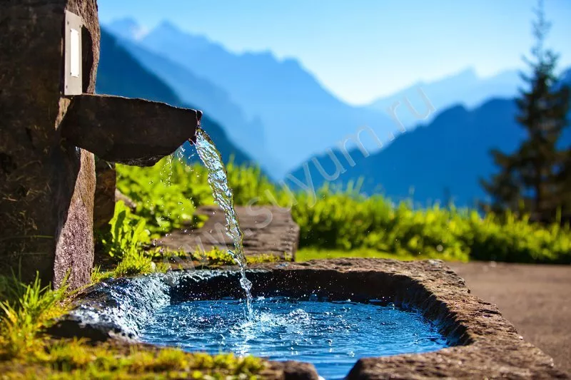 Что нужно знать о родниковой воде